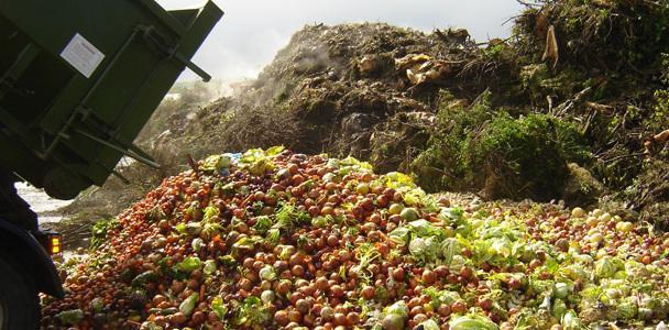 Troppo cibo nel pattume Modena va “alla guerra” 
