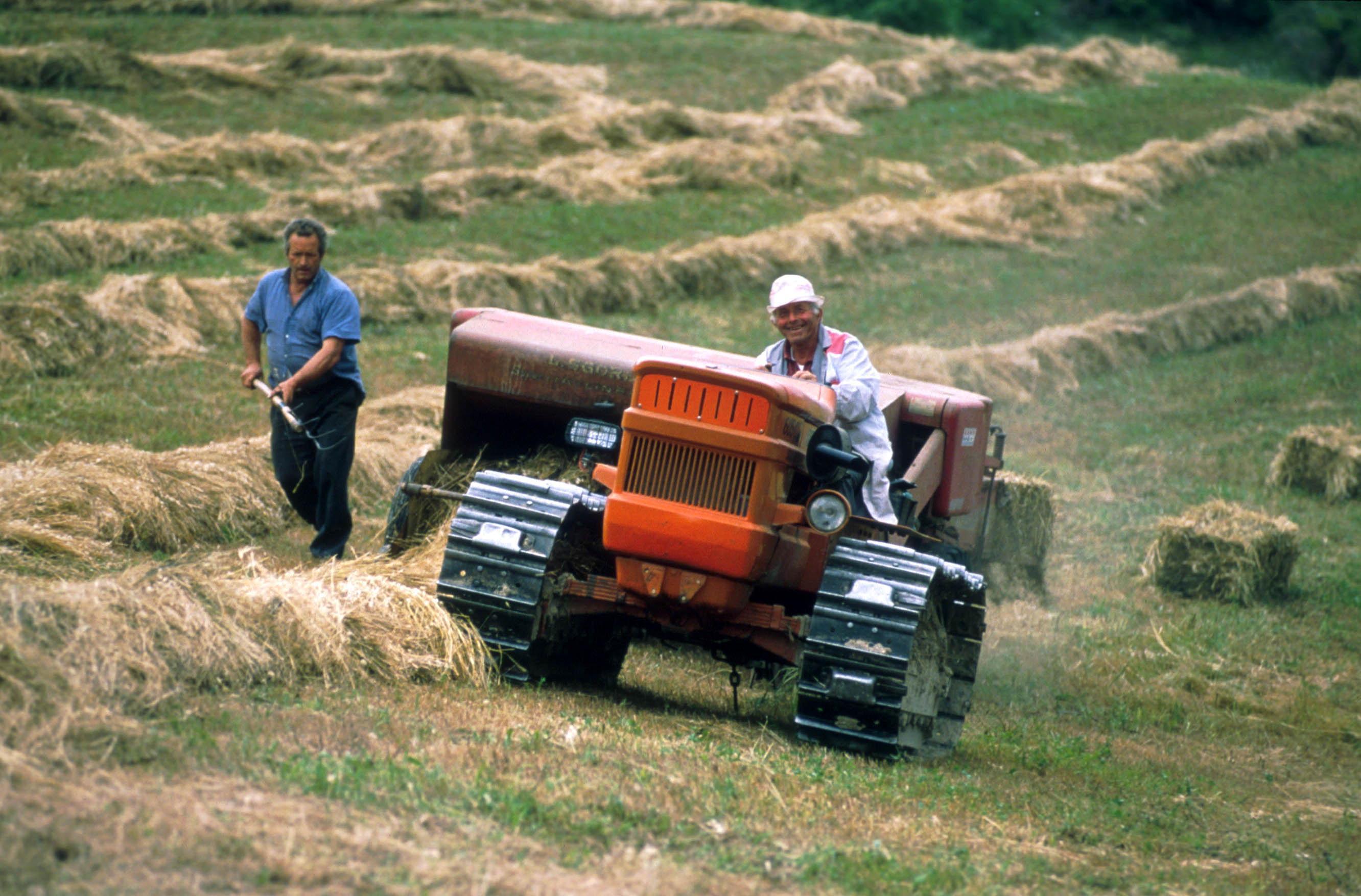 Imu, le imprese agricole non pagano 