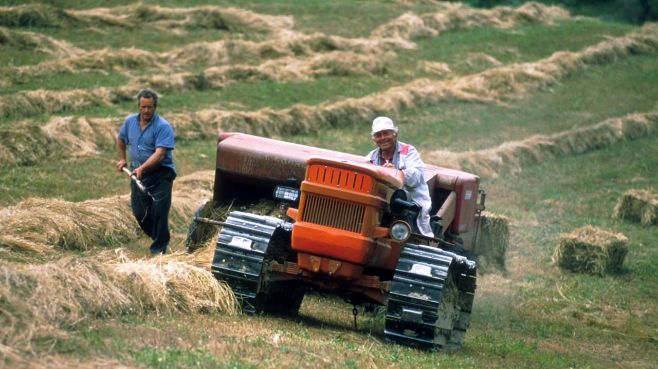 Imu, le imprese agricole non pagano