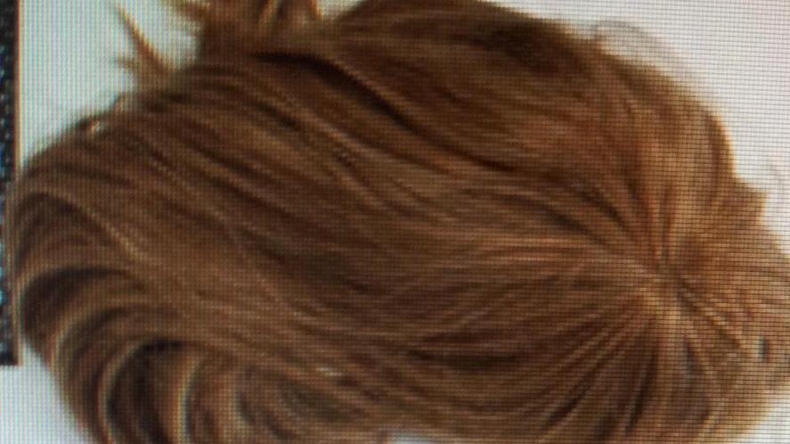 La parrucca usata da Paralovo per compiere le rapine
