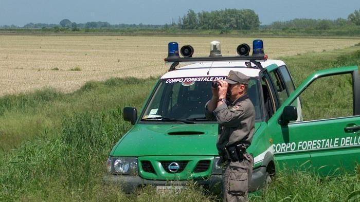 Un agente della Forestale (foto d'archivio)