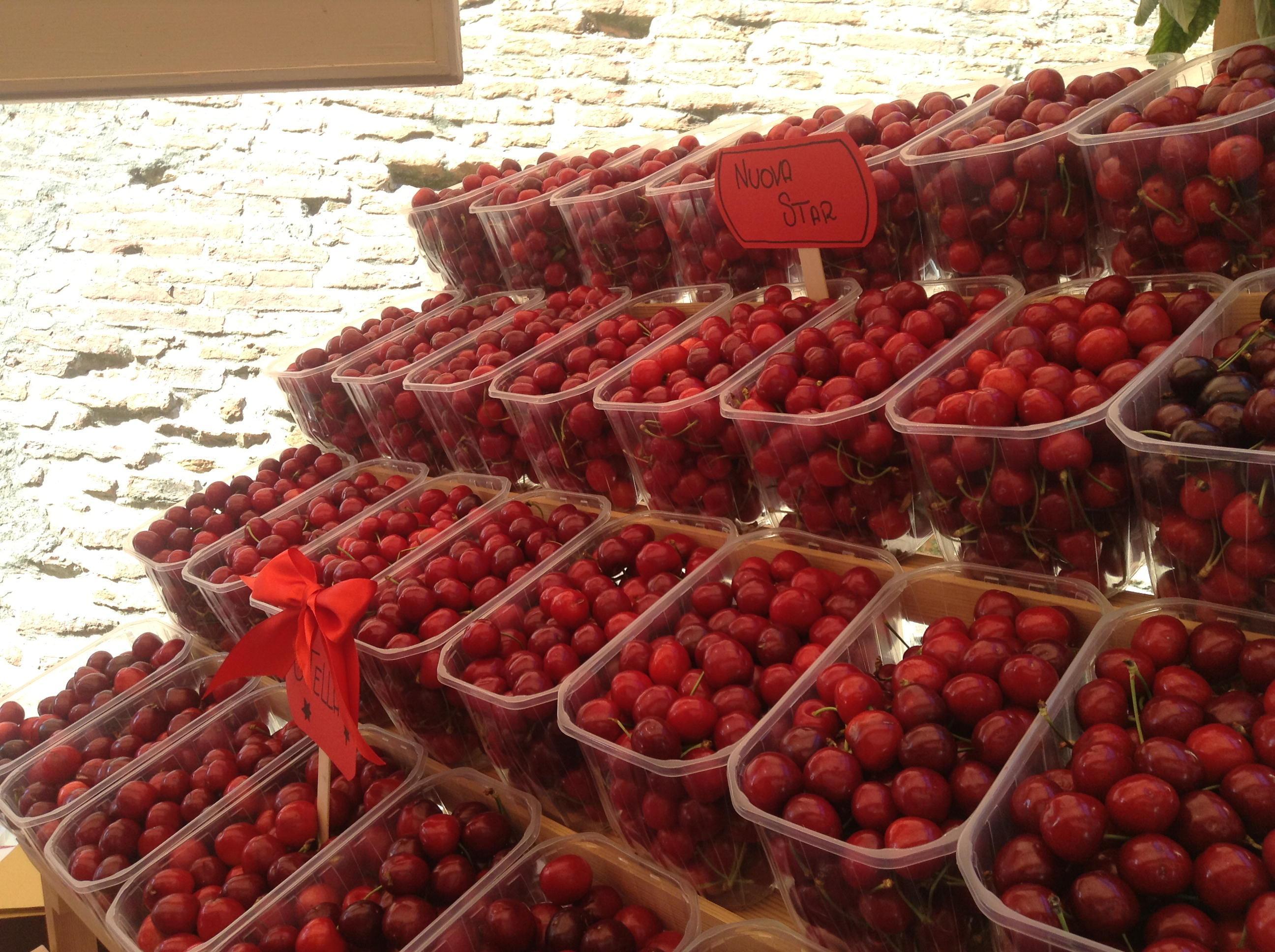 Delle splendide ciliegie esposte in una sagra locale dedicata al frutto (foto d'archivio) 