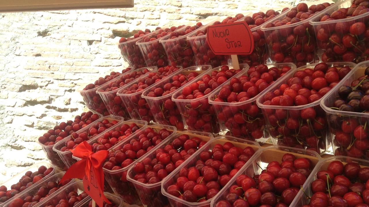 Delle splendide ciliegie esposte in una sagra locale dedicata al frutto (foto d'archivio)