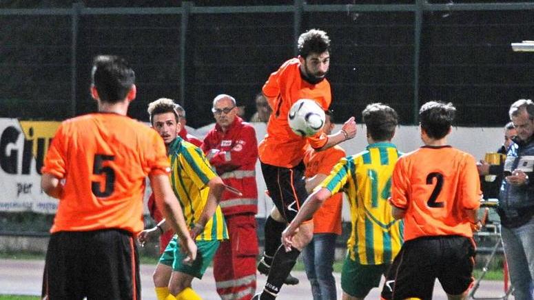 Orso, Leone, Pantera e Istrice partono bene