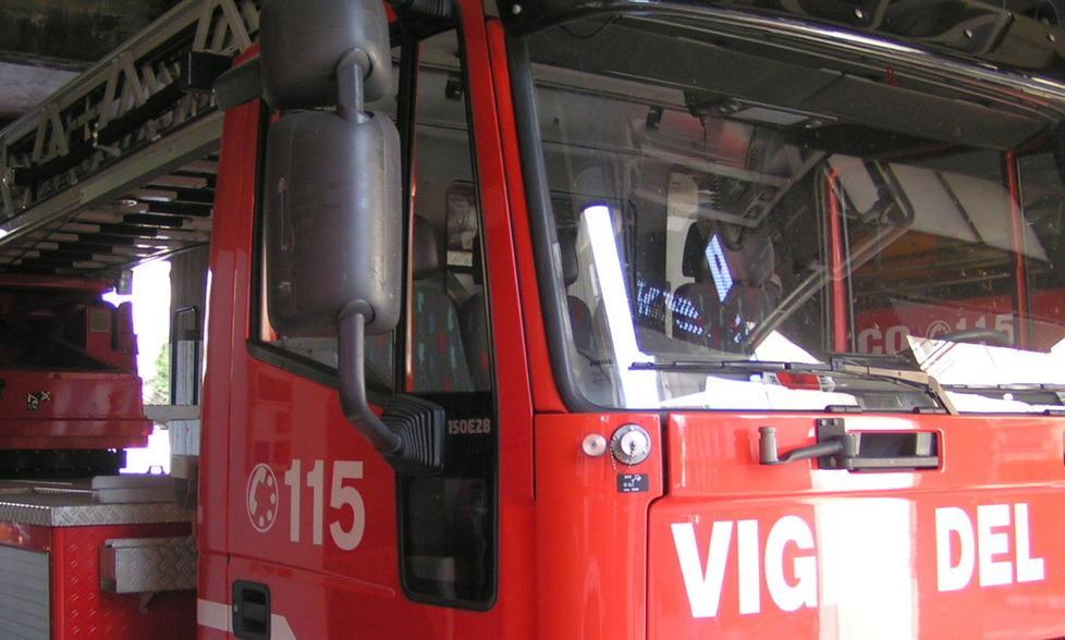 Cane salvato dai vigili del fuoco