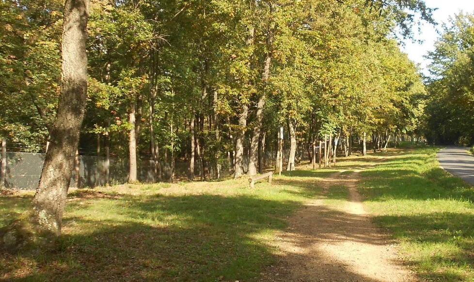 Processionaria nel bosco, rinviata l’inaugurazione