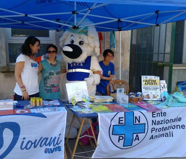 Tanti bambini alla festa con gli “ospiti” del canile