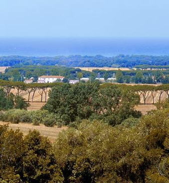 Case di lusso nell’ex fattoria 