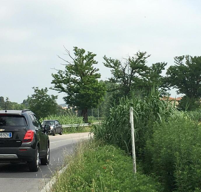 Via delle Colline, la visibilità ridotta crea rischi agli automobilisti