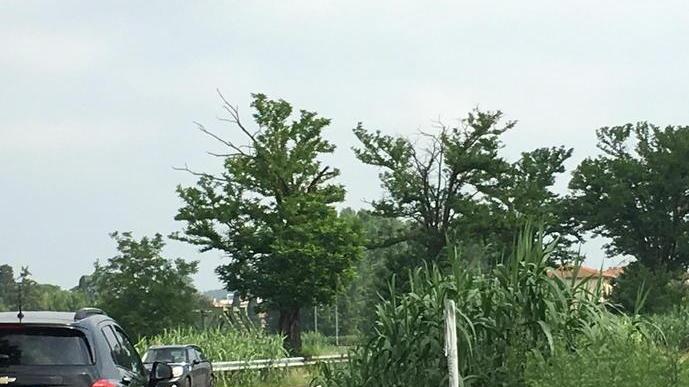 Via delle Colline, la visibilità ridotta crea rischi agli automobilisti