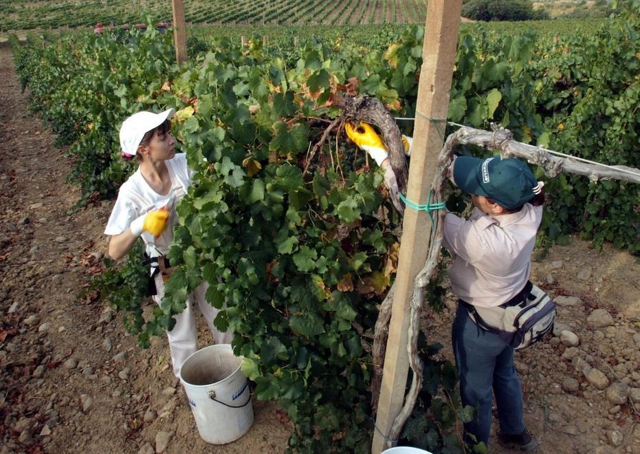Prorogato il concorso nazionale “Premio qualità Italia 2016” 