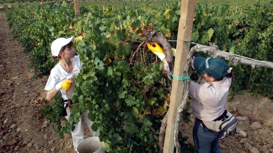 Prorogato il concorso nazionale “Premio qualità Italia 2016”