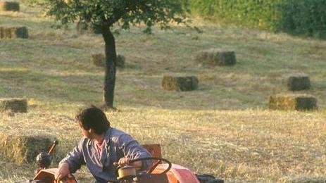L’esperto: agricoltori non fate affari con i supermercati