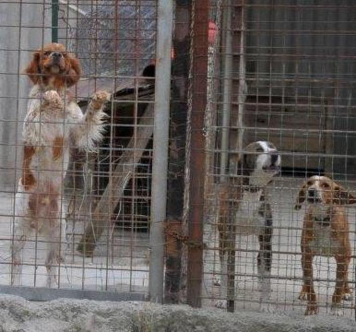 “Ragazzi nel bosco”, un anno di libertà 