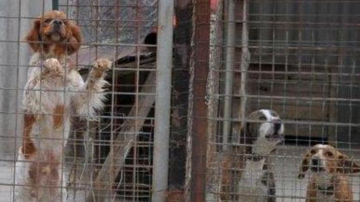 “Ragazzi nel bosco”, un anno di libertà