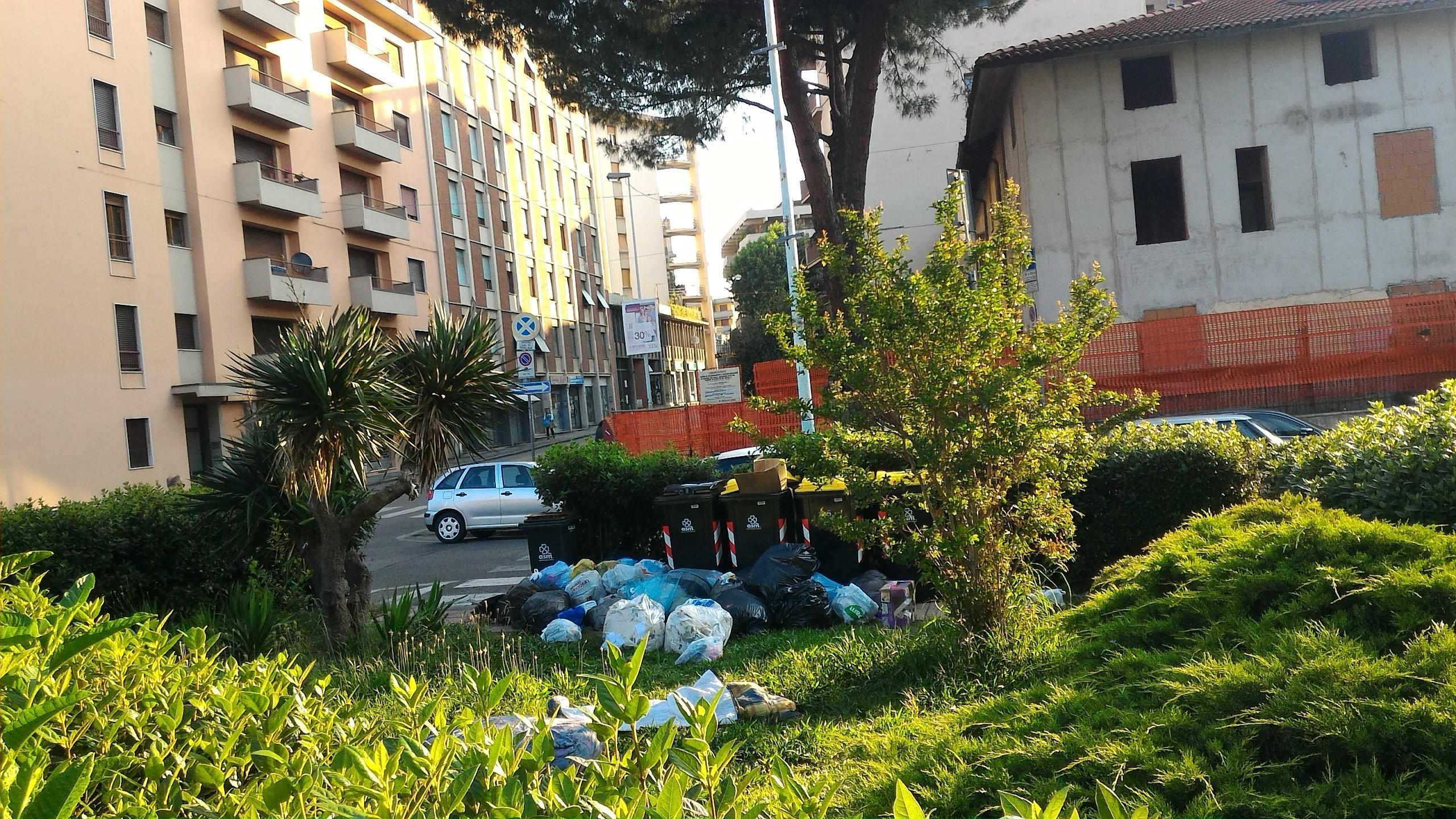 I rifiuti abbandonati nell'aiuola 