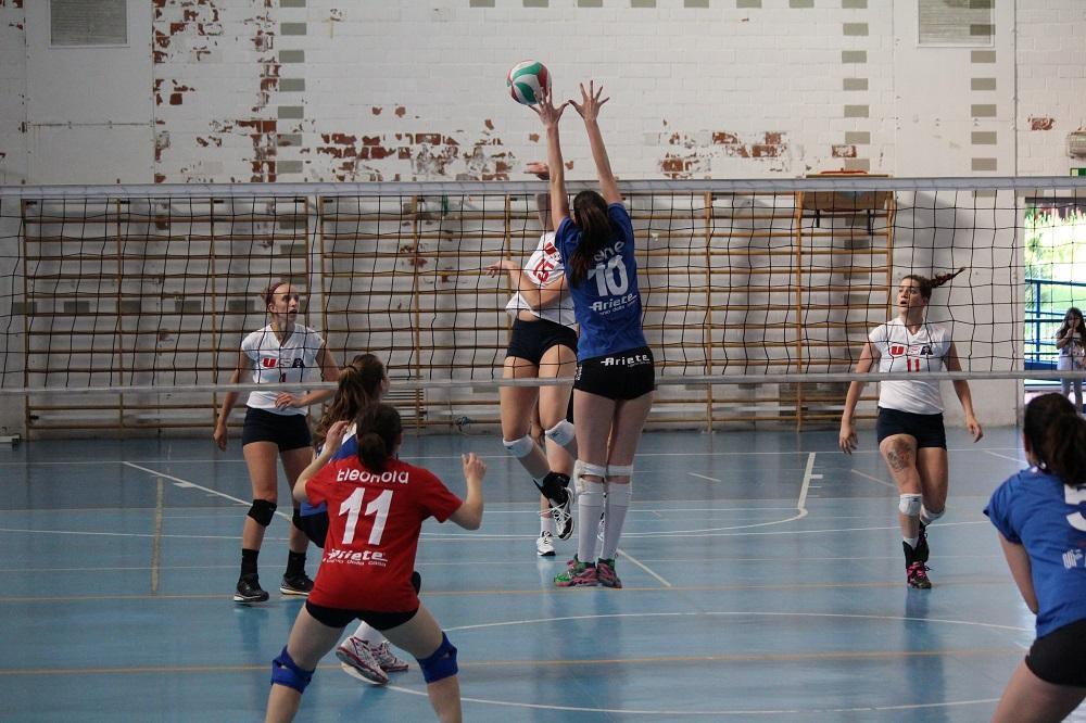 Confronto a rete