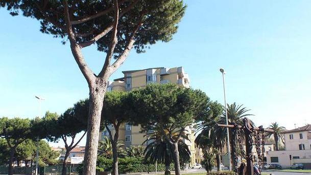La rotatoria di Baratti da adottare