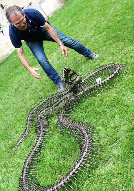 Monserrato, il parco trasformato in una grande mostra 