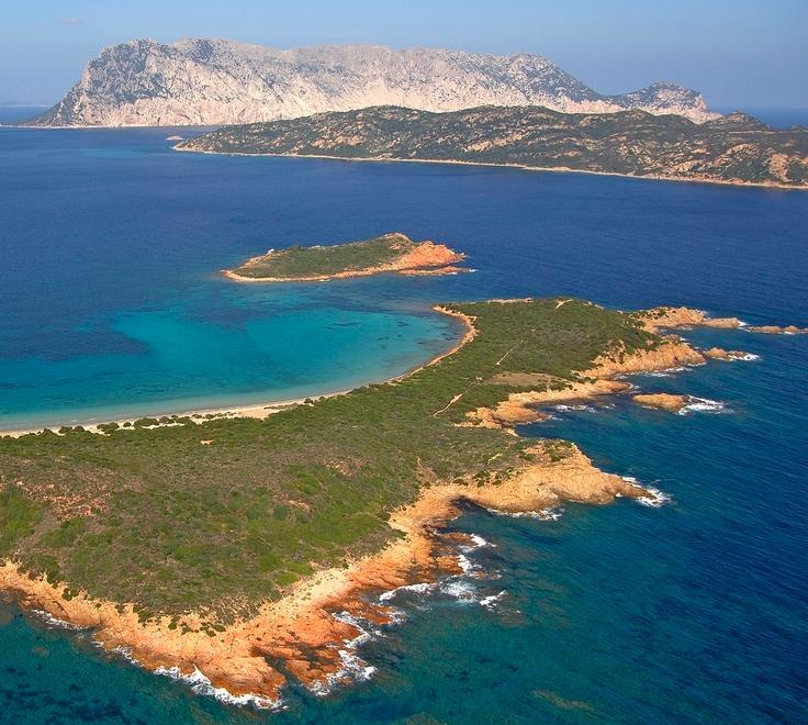 Corsi di biodiversità per i laureandi nell’Amp di Tavolara 