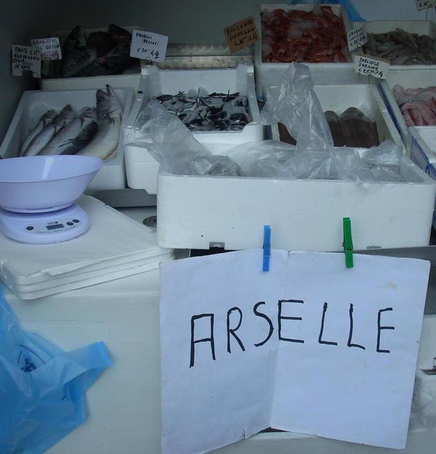 Telline tracciabili: «È davvero dura trovarle a Viareggio»