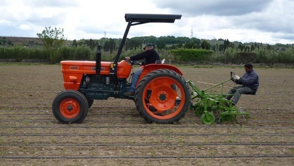 La rivincita dell’agricoltura 