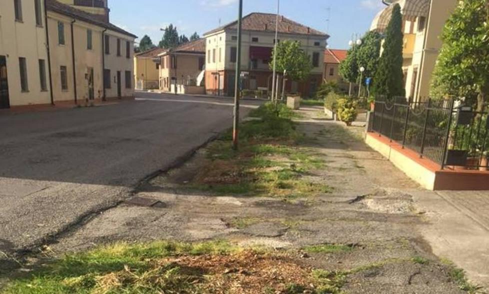 Buche ed erbacce, il vialetto va sistemato