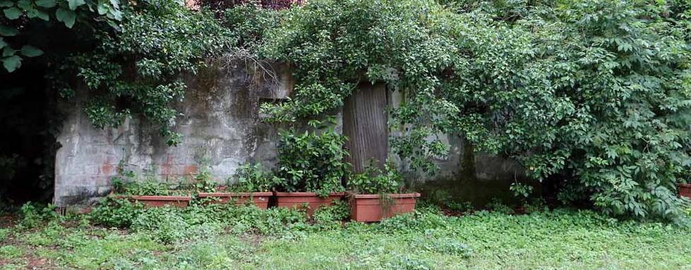 «Parco della Rinchiostra: c’è l’amianto» 