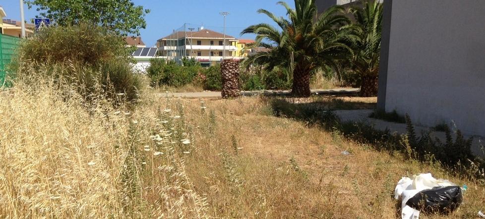 La scuola assediata dalle erbacce 