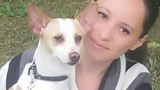 Da Avellino in cerca del cane Stich
