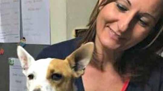 Cagnolina uccisa da un boccone avvelenato