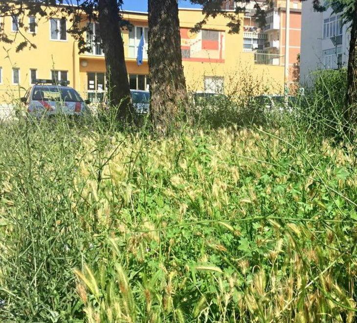 La “trappola” dell’erba alta, così il verde diventa un ostacolo