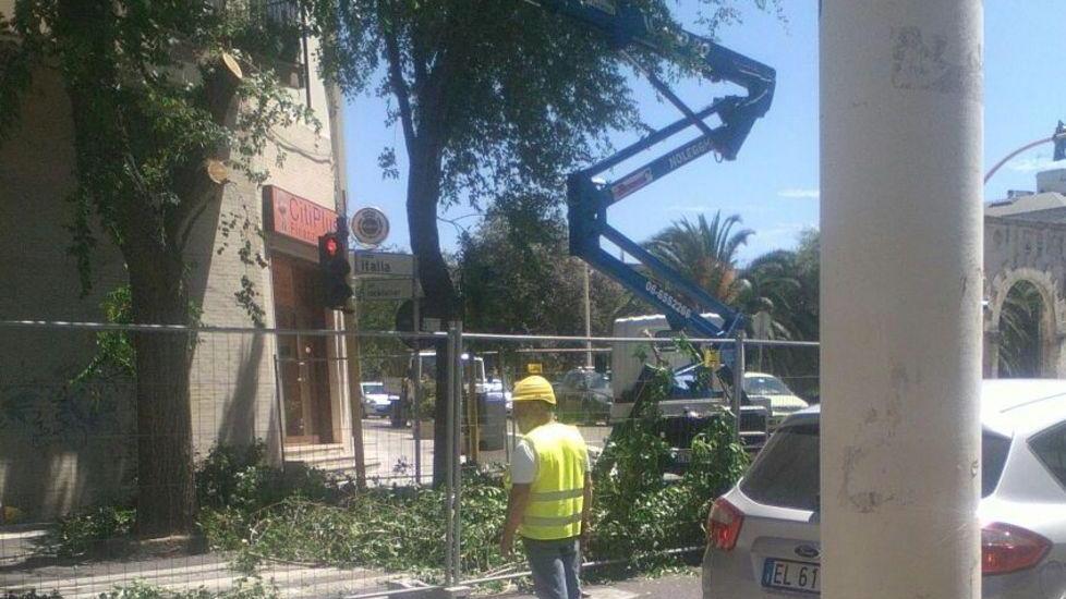 Ciclabili, alberi abbattuti e nuove proteste