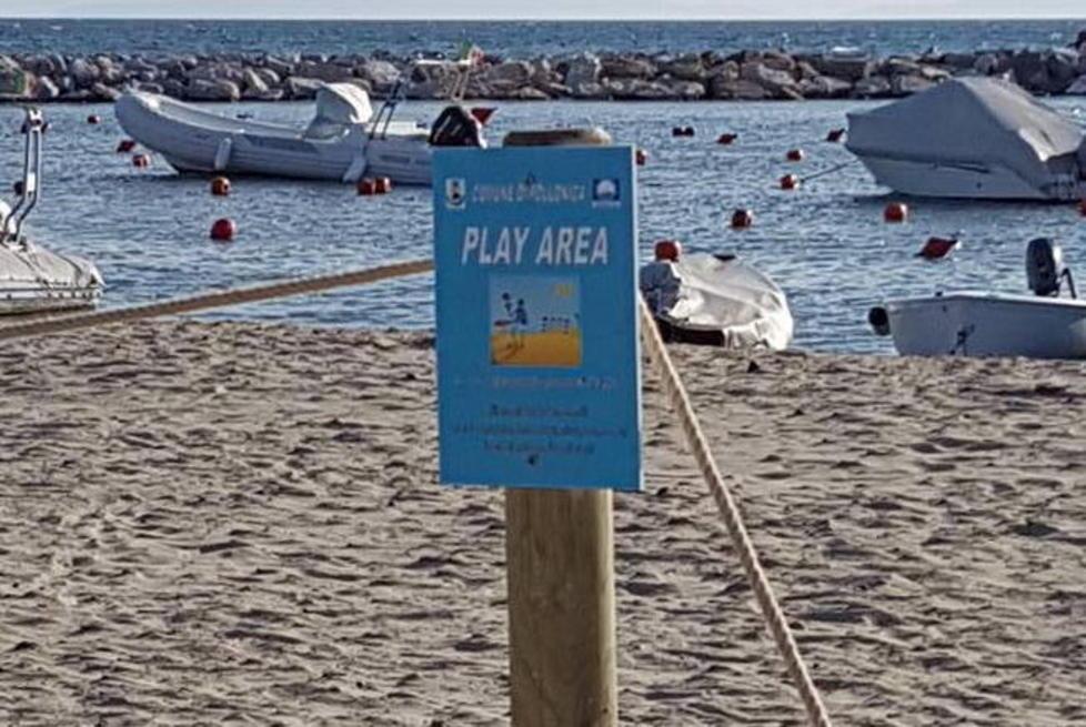 Ecco le spiagge per i cani e per giocare