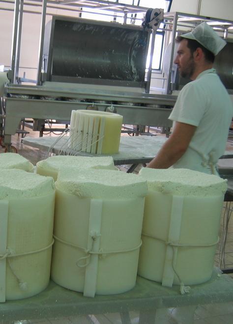 Qualità del latte Pinna sotto accusa: «Ma è un equivoco» 