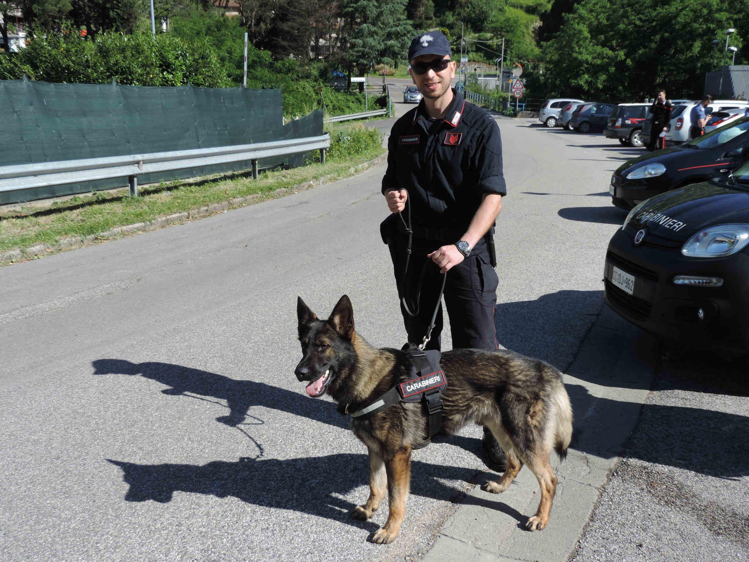 Controlli col cane antidroga