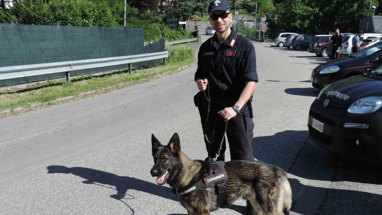 Controlli col cane antidroga