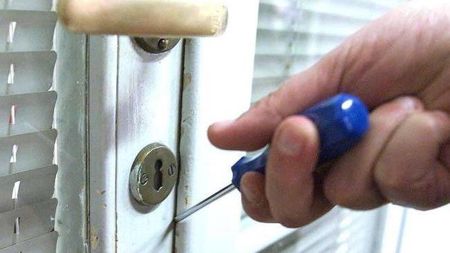 Malviventi in fuga con prosciutti, salami e i soldi della cassa