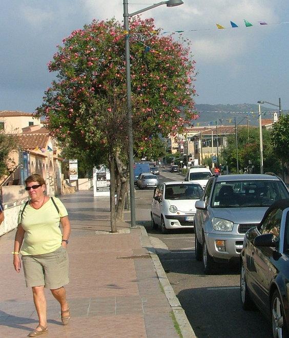 Budoni festeggia l’arrivo dell’estate con musica e folclore