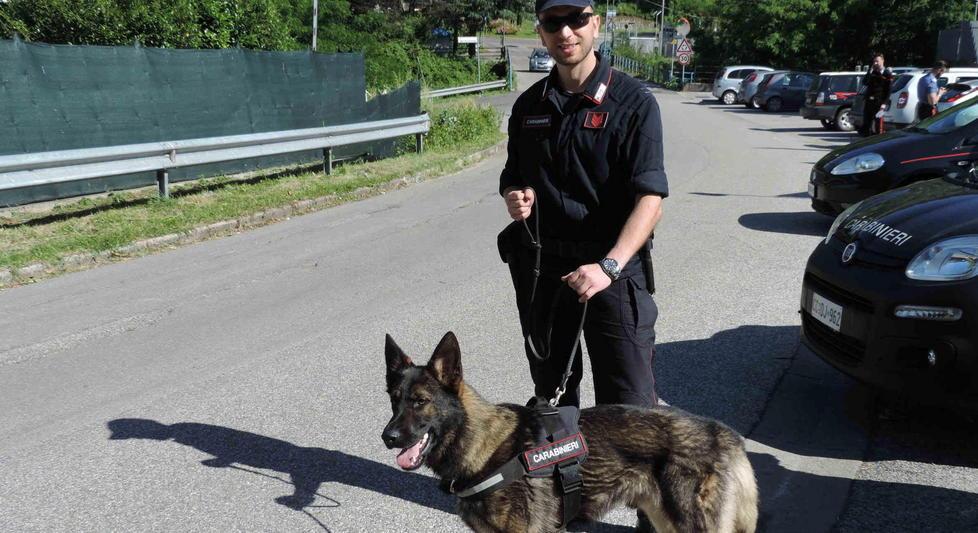 Un carabiniere con il suo cane durante un'indagine