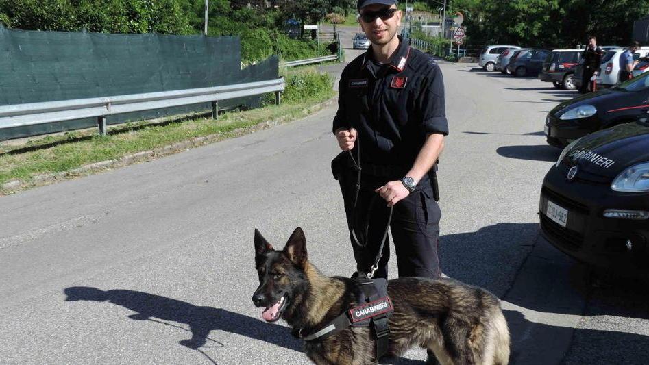 Un carabiniere con il suo cane durante un'indagine