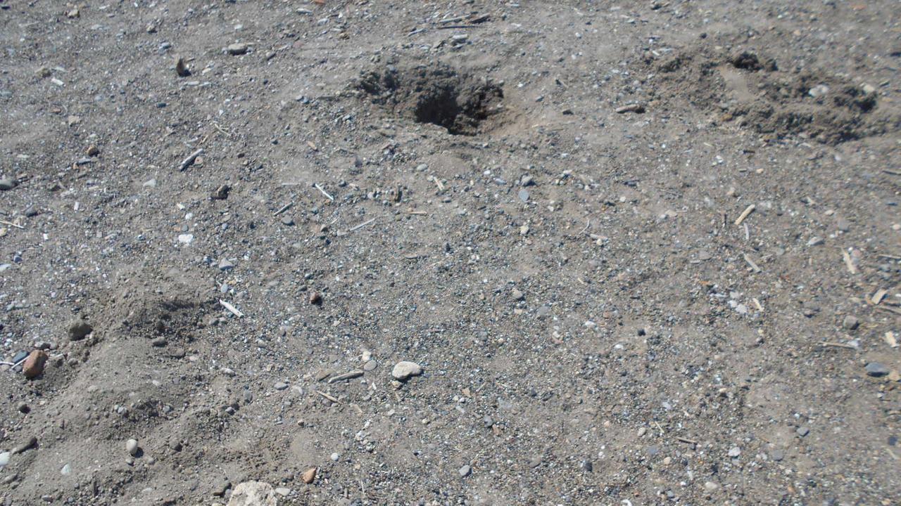 Pietre e altro materiale sulle spiagge libere di Marina di Cecina