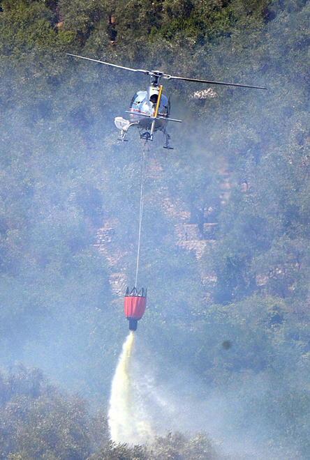 Un piano antincendio per salvare i boschi dei Monti Pisani