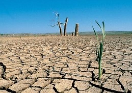 C’è un deserto che avanza, anche la Sardegna da salvare