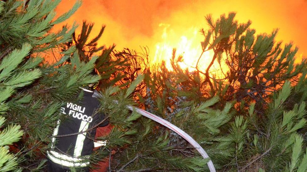 I vigili del fuoco fuori dalla task force
