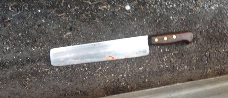 Il coltello gettato sotto un cassonetto di via I Maggio