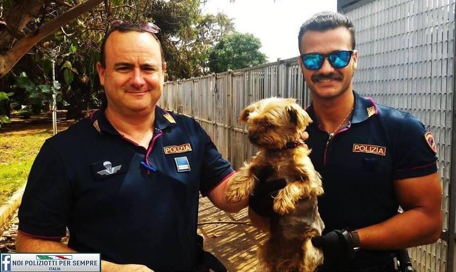 Ruba e maltratta un cane, denunciato per ricettazione 