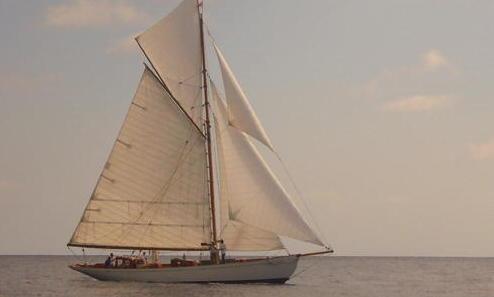 Visite a bordo del “Vistona”