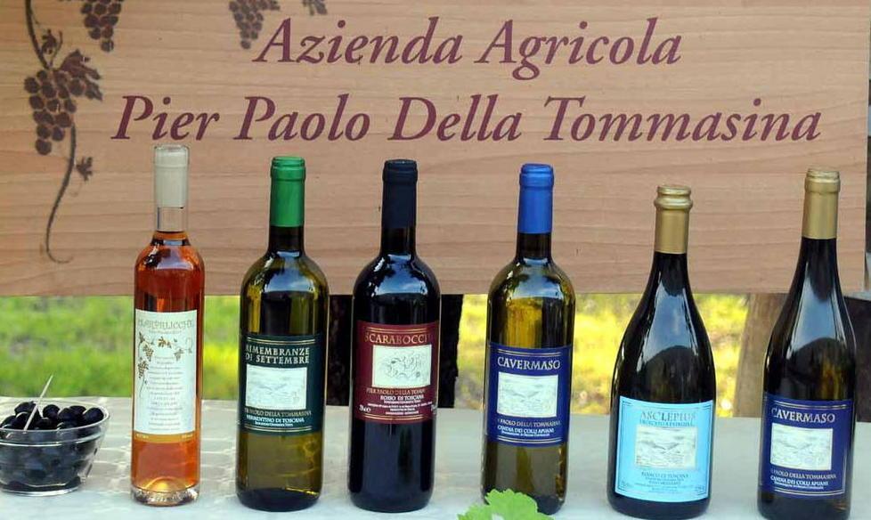 Sei i vini di punta Ecco le schede e gli abbinamenti