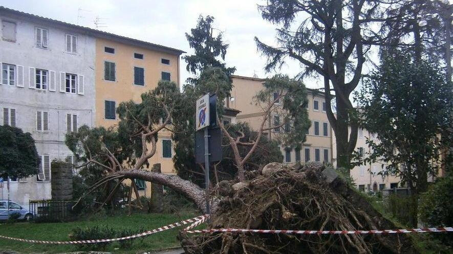Varato a Pescia il primo piano di protezione civile